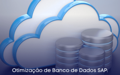 Otimização de Banco de Dados SAP: Melhores Práticas e Recomendações